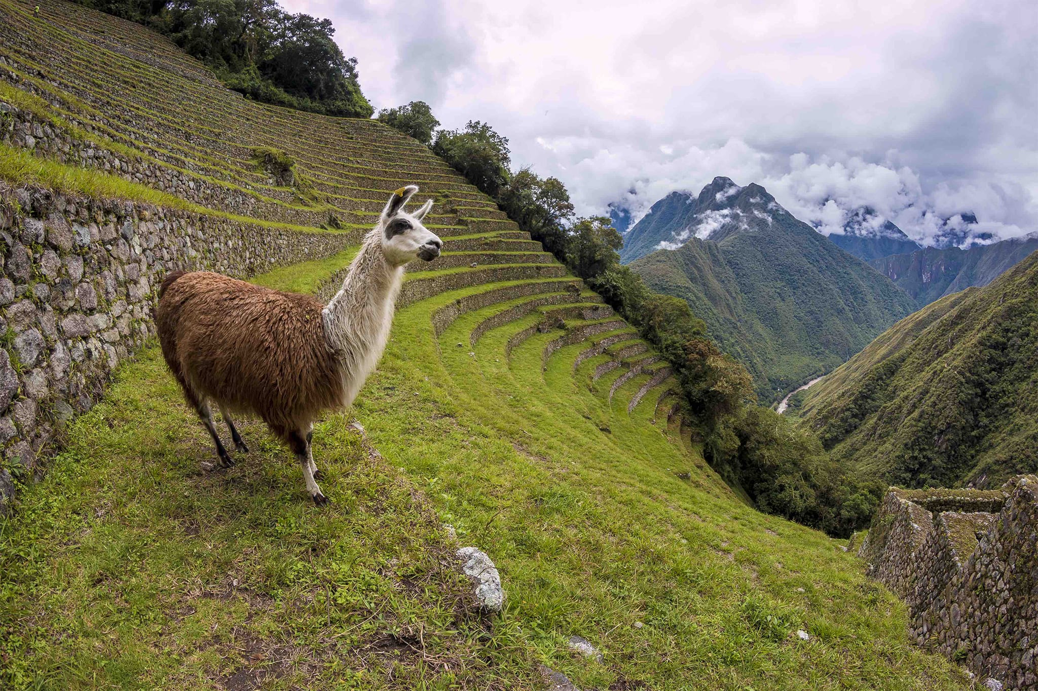 Short Inca Trail  to Machu Picchu 2 Days