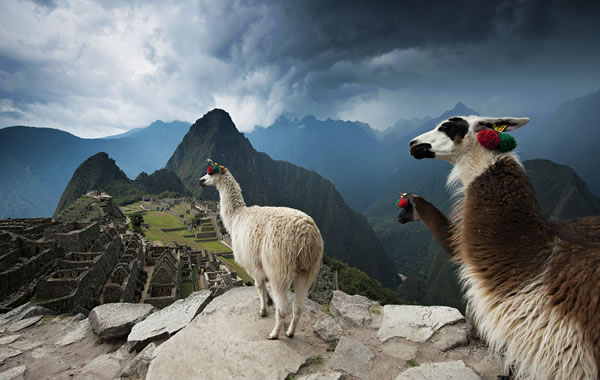 Short Inca Trail  to Machu Picchu 2 Days